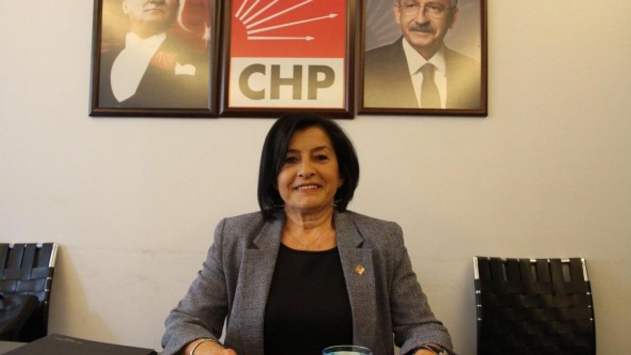 CHP Kadın Kolları'ndan anlamlı 25 Kasım açıklaması