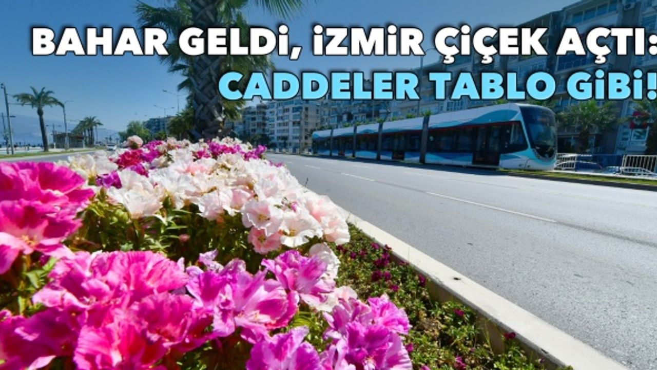 Bahar geldi, İzmir çiçek açtı: Caddeler tablo gibi!