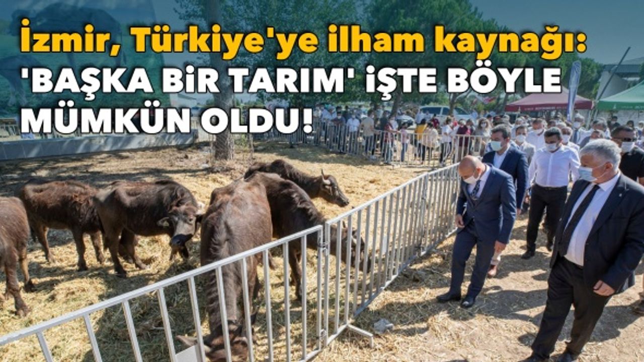İzmir, Türkiye'ye ilham kaynağı: 'Başka Bir Tarım' işte böyle mümkün oldu