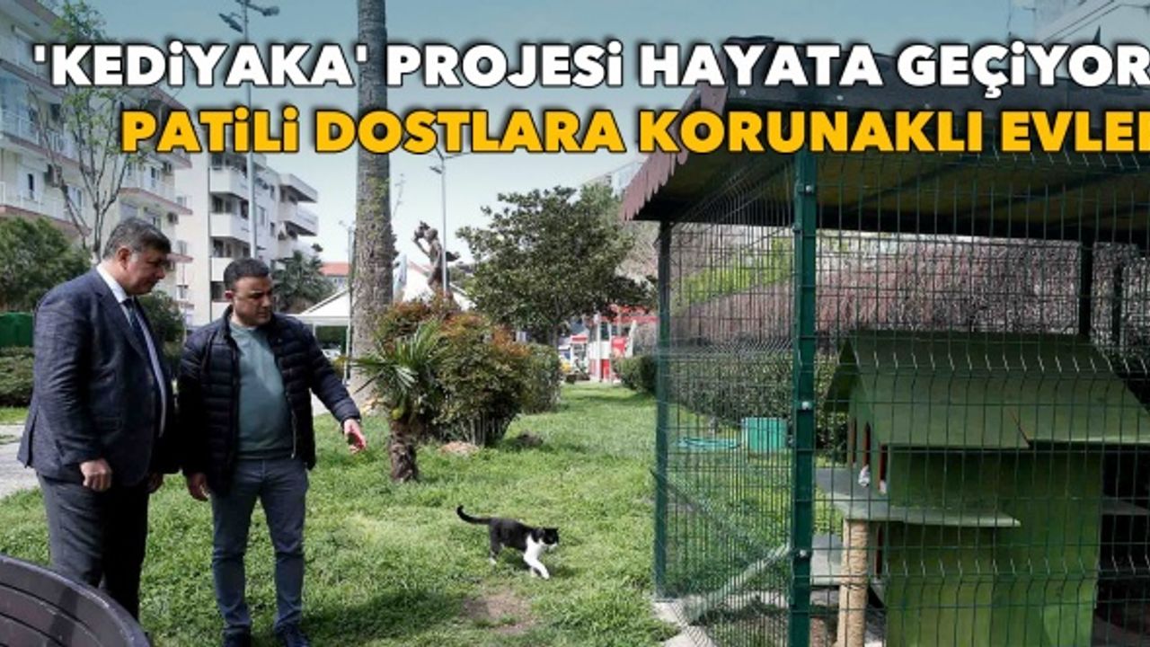 'KediYaka' projesi hayata geçiyor: Patili dostlara korunaklı evler