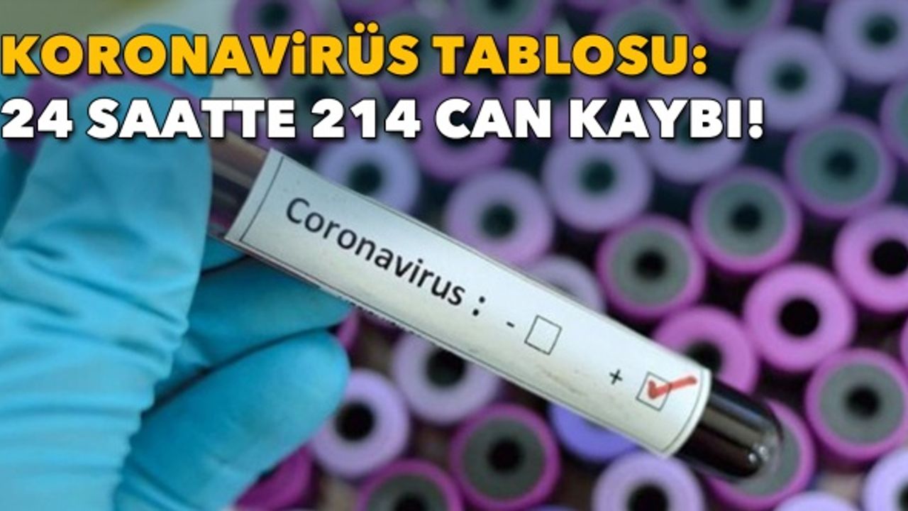 Koronavirüs tablosu: 24 saatte 214 can kaybı!