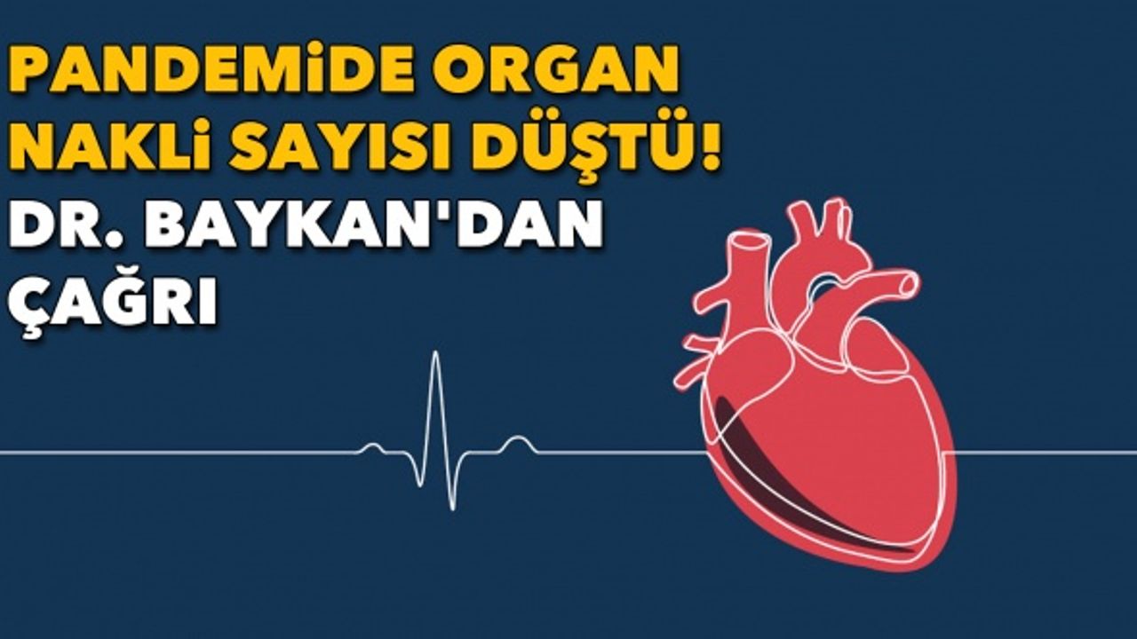 Pandemide organ nakli sayısı düştü! Dr. Baykan'dan çağrı
