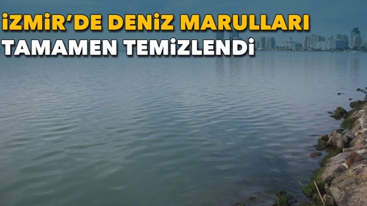 İzmir'de deniz marulları tamamen temizlendi