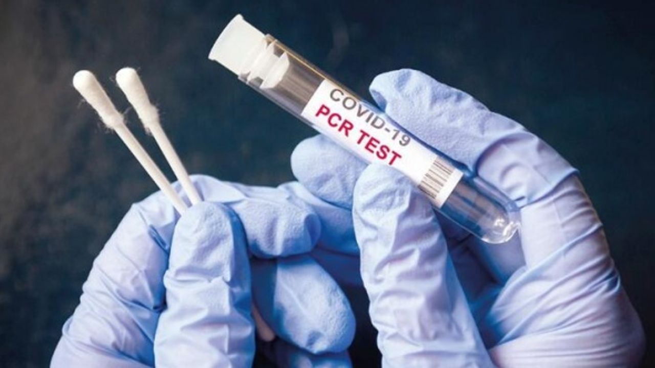 Koronavirüs raporu açıklandı: 228 can kaybı!