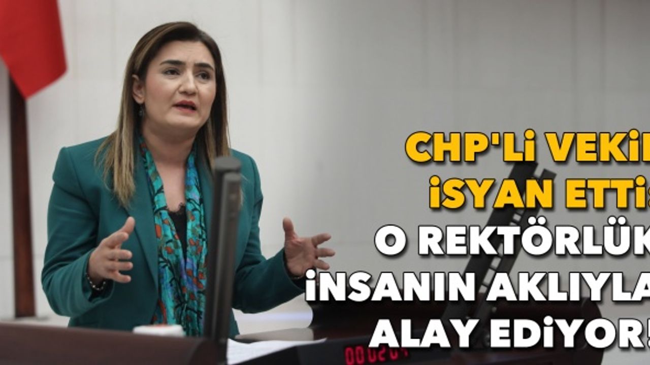 CHP'li vekil isyan etti: O rektörlük insanın aklıyla alay ediyor!