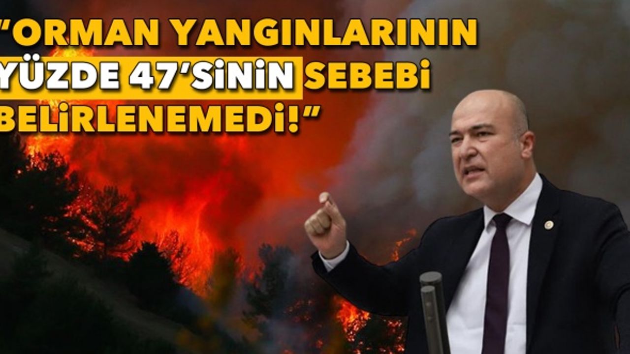 Bakan sordu, Kirişçi yanıtladı: Orman yangınlarının yüzde 47’sinin sebebi belirlenemedi!