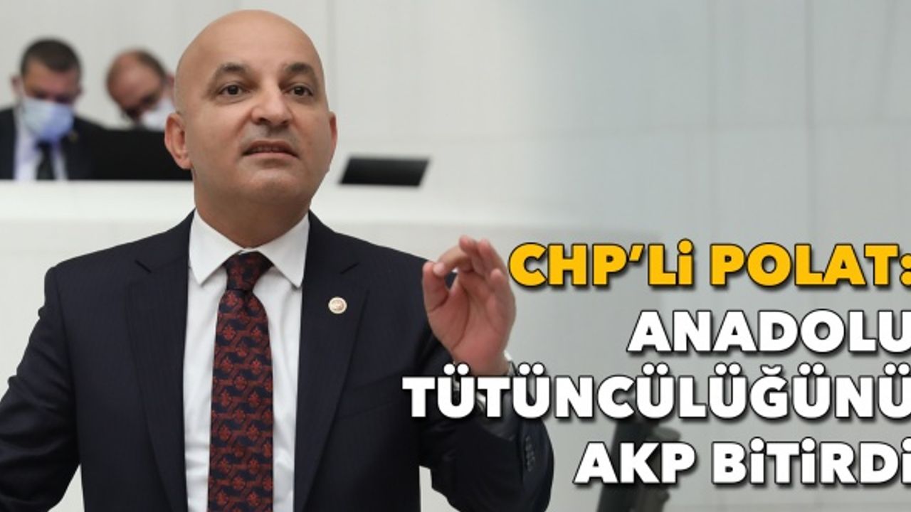CHP’li Polat: Anadolu tütüncülüğünü AKP bitirdi