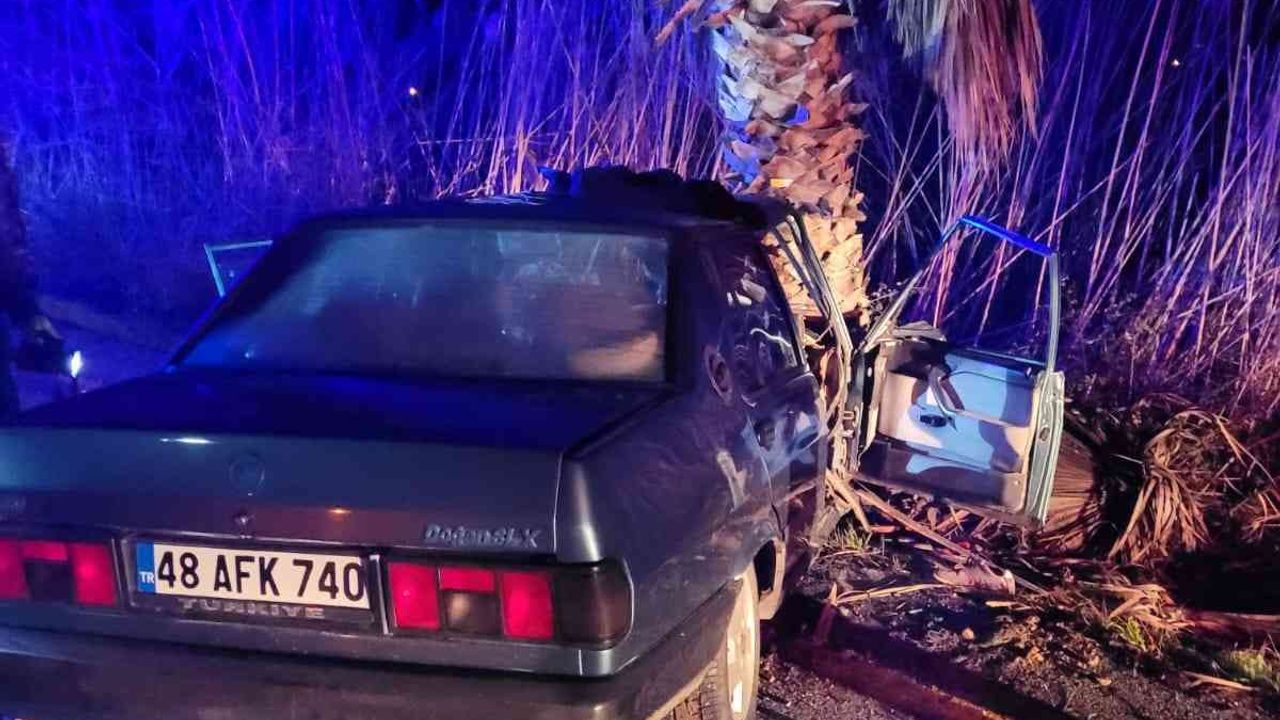 Otomobil ağaca saplandı: 1 ölü