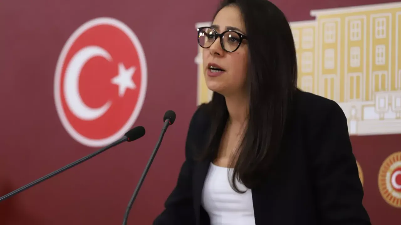 TİP Sözcüsü Kadıgil: Erdoğan aday olamaz