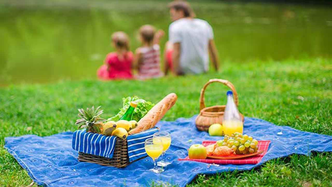 İzmir'de nerede piknik yapılır? İşte İzmir'de piknik yapılacak 16 yer!