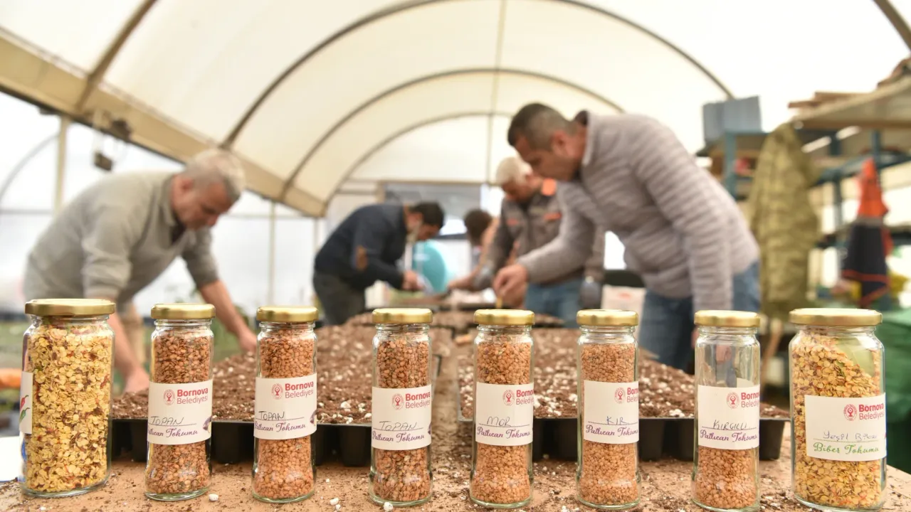 Bornova’da hedef 50 milyon atalık tohum