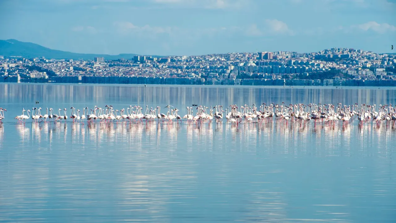 Temiz Körfez için tarihi adımlar: İzmir’i kokudan kurtaracağız