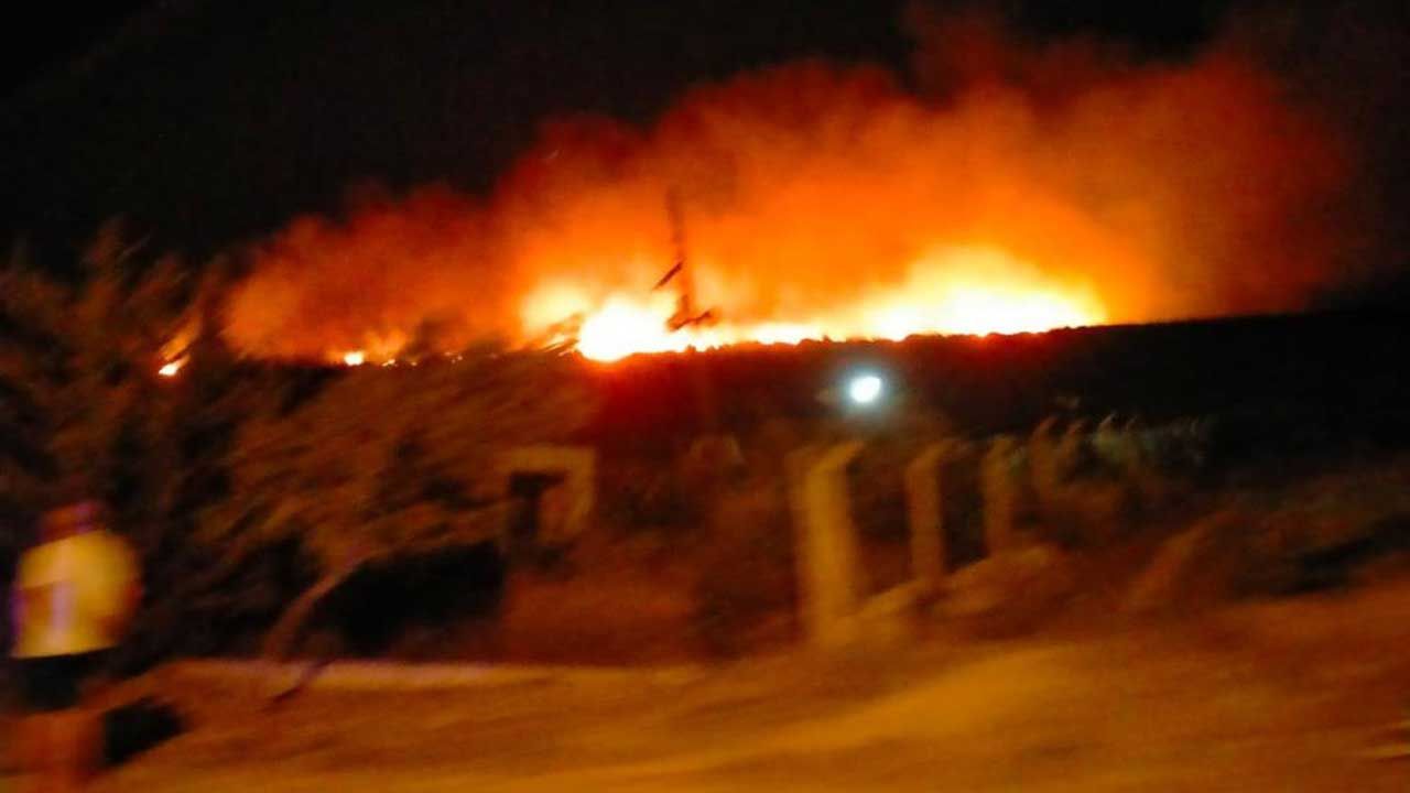 Çeşme'de orman yangını: Kundakçı yakalandı