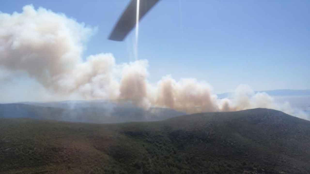 Çeşme'de orman yangını: Havadan ve karadan müdahale ediliyor