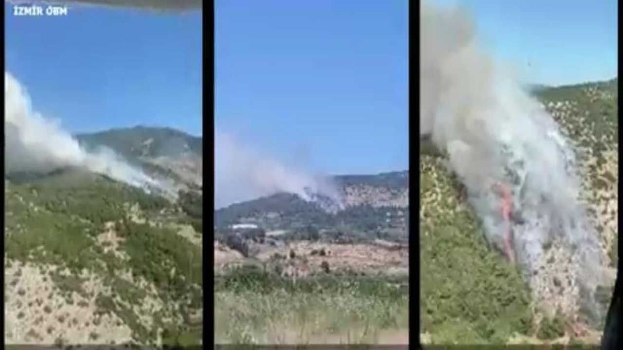 İzmir ve Manisa'da dün 9 orman yangını söndürüldü!