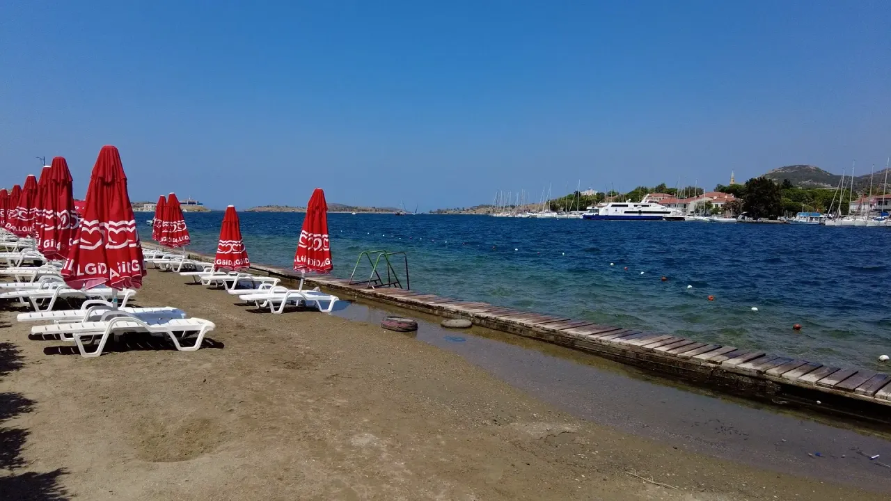 İzmir turizmine 'denizanası darbesi': Plajlar boş kaldı!