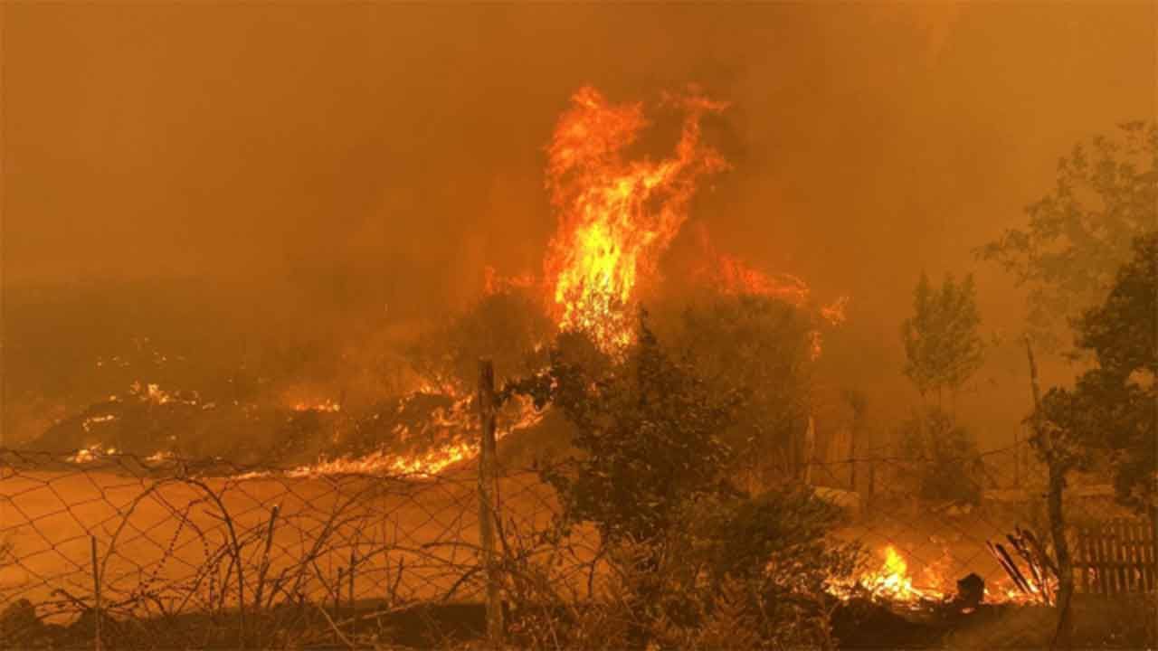 Çanakkale'de orman yangını: Köy boşaltıldı, yol trafiğe kapatıldı!