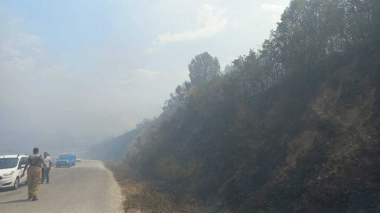 İzmir'de orman yangını çıktı! Müdahale sürüyor