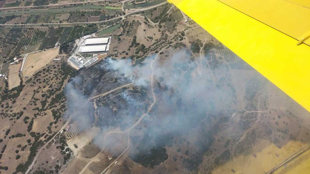 İzmir Menemen'de orman yangını çıktı
