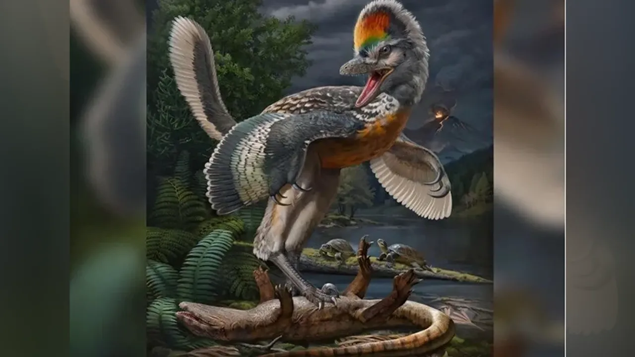 Bilim insanları şokta... Kuş benzeri dinozor fosili keşfedildi