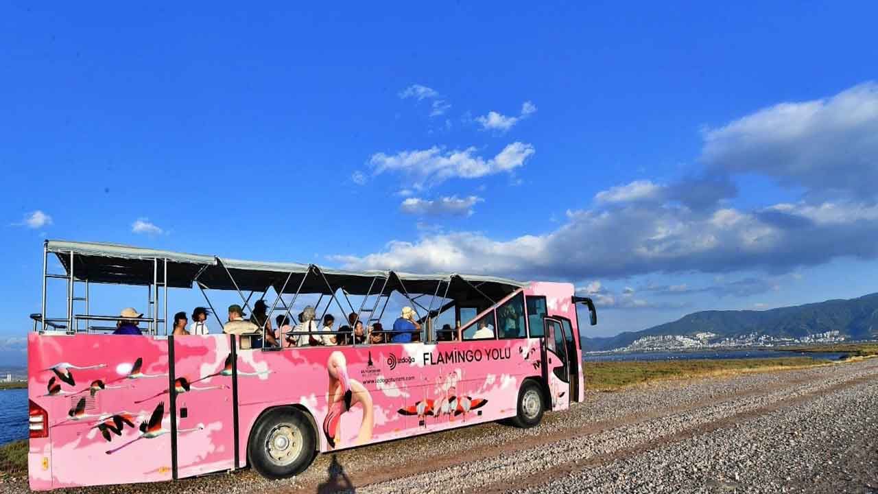 Doğaseverler İzmir'de Flamingo Festivali'nde buluşacak: Turlar ücretsiz olacak