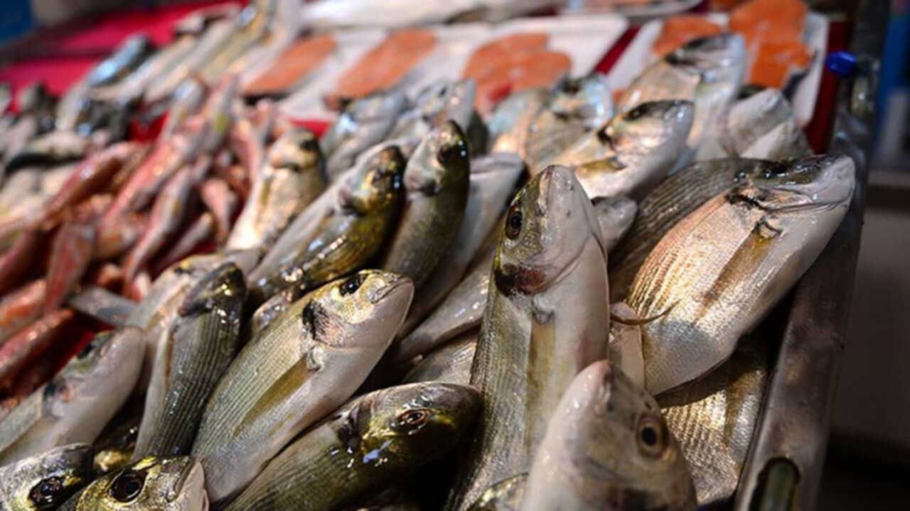Balık sezonu açıldı: İzmir'de balık fiyatları ne kadar?