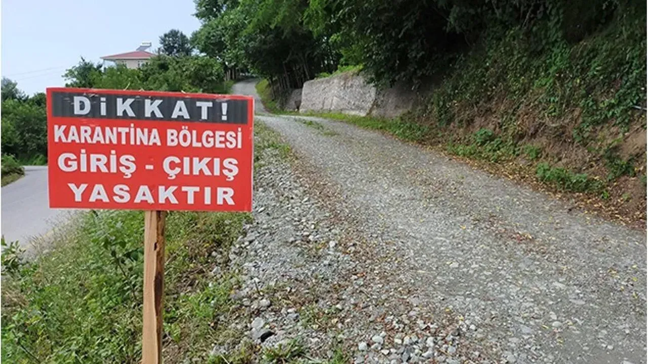 Bir kent daha şap karantinasına alındı