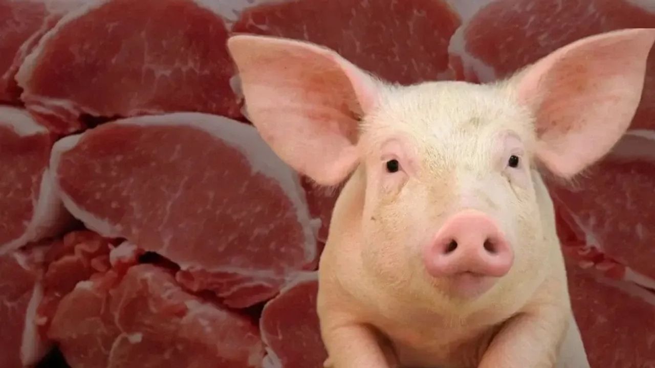 Aydın'da cami önünde domuz eti dağıtıldı iddiası - İz Gazete - İzmir  Haberleri - Son Dakika Haberler