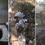Kuşadası’nın göz bebeği Milli Park'ta utandıran görüntüler… Tuvaletler tıkandı, çöpler birikti!