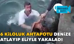 6 kiloluk ahtapotu denize atlayıp eliyle yakaladı