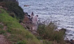 Bodrum'da sahil kenarında çürümüş ceset bulundu