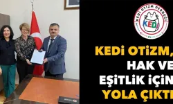 Kedi Otizm, hak ve eşitlik için yola çıktı
