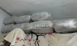İzmir'de zehir operasyonu: 114 tutuklama