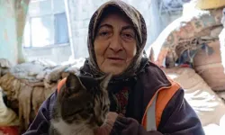 Kedileri için hasarlı evini terk etmiyor