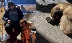 Depremde sahibi ölen köpeğin hali yürekleri acıtıyor!