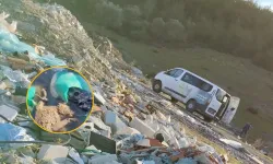 Ölü kedi ve köpeklerin akıbeti merak konusu: Hayvanseverlerden Bornova Belediyesi'ne çağrı