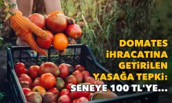 Domates ihracatına getirilen yasağa tepki: Seneye 100 TL'ye...