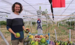 İthal meyveyi İzmir'de üretti, rotayı Avrupa'ya çevirdi