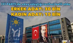 İYİ Parti’de aday adaylığı tarifesi belli oldu