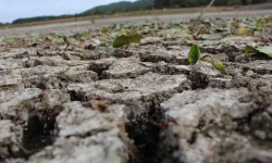 Olağanüstü kuraklık riski büyüyor: İzmir için durum ne?