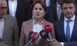 Akşener korkunç olayı açıkladı: Bu kimsenin bilmediği bir konu!