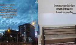 Sevdiği kızla son oturduğu bankı çalınca... Sosyal medyada gülümseten diyalog