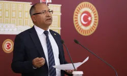 Özcan Purçu partisinden istifa etti: Romanlar kendi göbeğini kendi kesecek