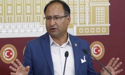 CHP’li Roman Vekil Purçu: “Romanların yıllardır görünmeyen yalnızlığı var”