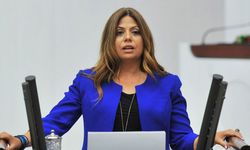 Zeynep Altıok Akatlı'nın Dokuz Eylül Üniversitesi ile ilgili yazısına engel!