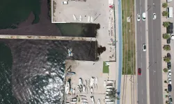 Bostanlı sahilinde deniz marulu temizliği