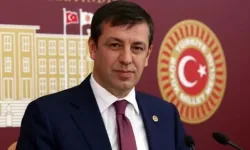 CHP İzmir Milletvekili Rahmi Aşkın Türeli kimdir?