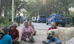 'Vicdansızlıktır': Şafak vakti TOMA'larla ormanı bastılar!