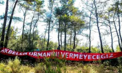 İzmir Barosu'ndan 'Akbelen Ormanı' tepkisi: Akıl tutulması!