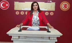CHP'li Kılıç'tan Onur Şener davasında verilen karara tepki